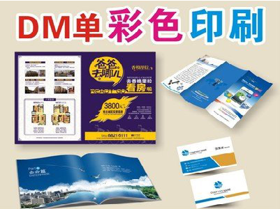 德保单页印刷，色彩搭配简单。